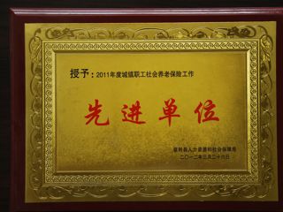 2011年社保先进单位