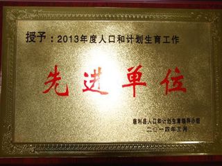 2013年度医院荣誉：人口和计划生育工作先进单位