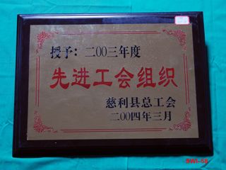 2003年先进工会组织