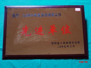 2006年按劳动保障工作先进单位