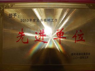 2013年度医院荣誉：义务植树工作先进单位