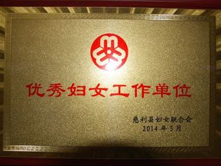 2013年度医院荣誉：优秀妇女工作单位