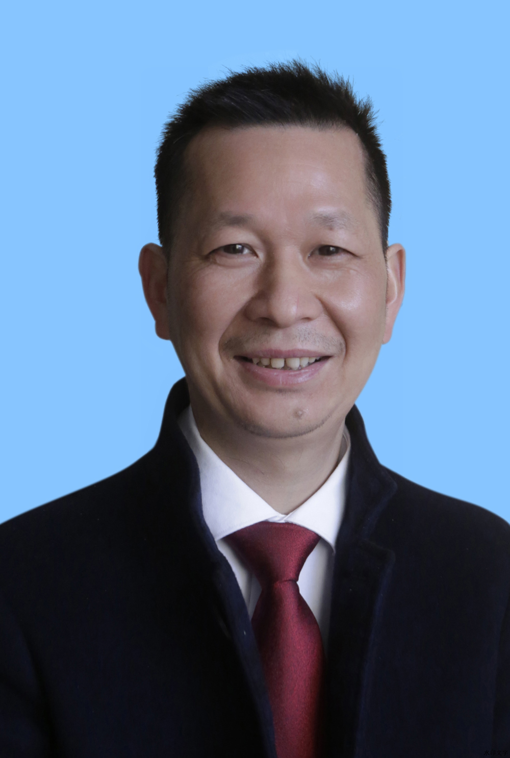 心血管内科主任医师 杨弃