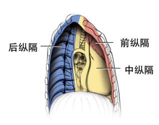 a3dc4ee88f6f4ab1b61730bb66ae8d5f.png