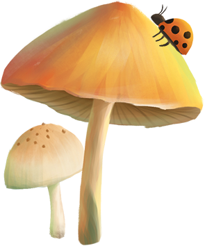 蘑菇@2x.png 图片