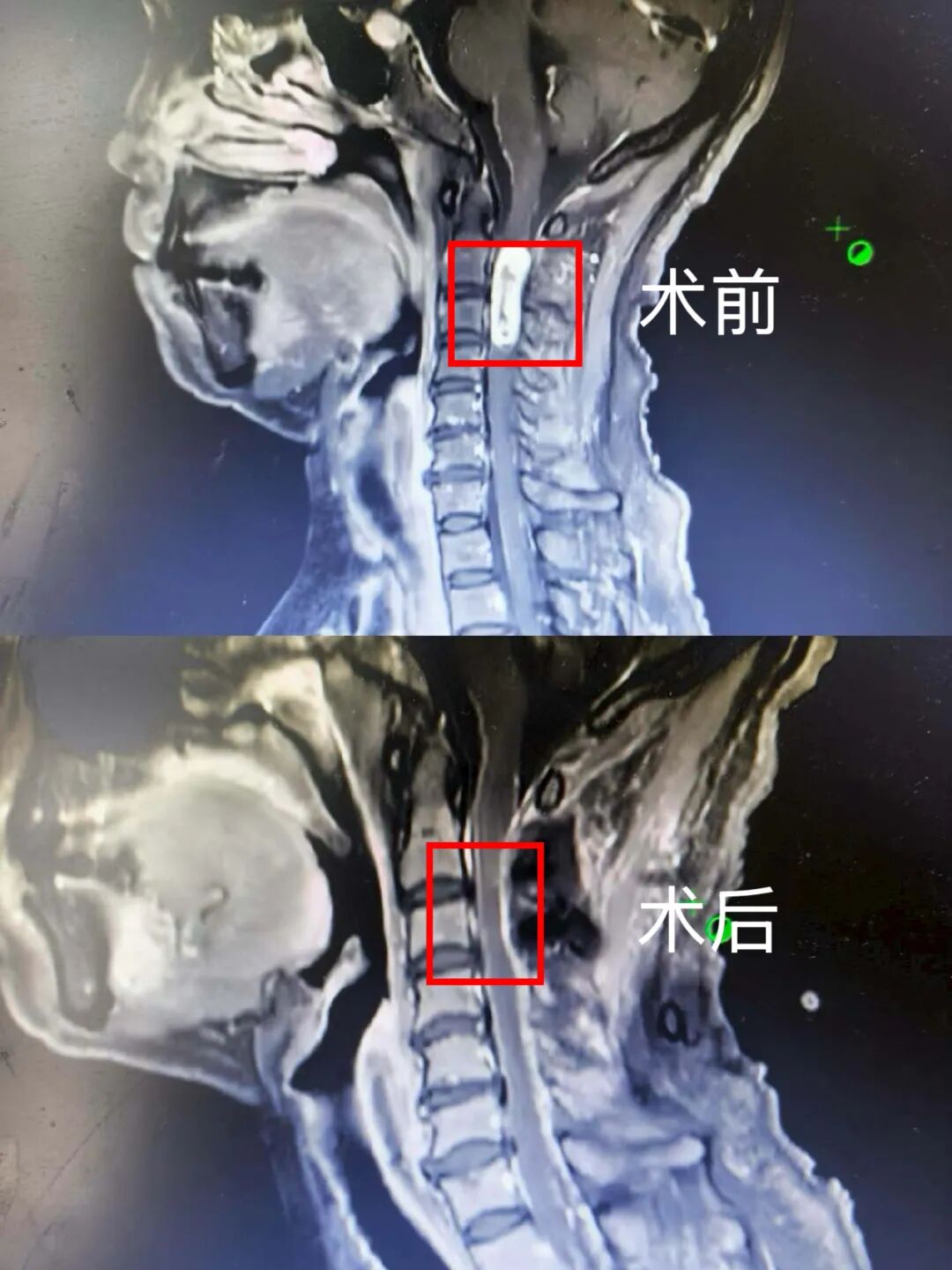 微信图片_20260312084613.jpg
