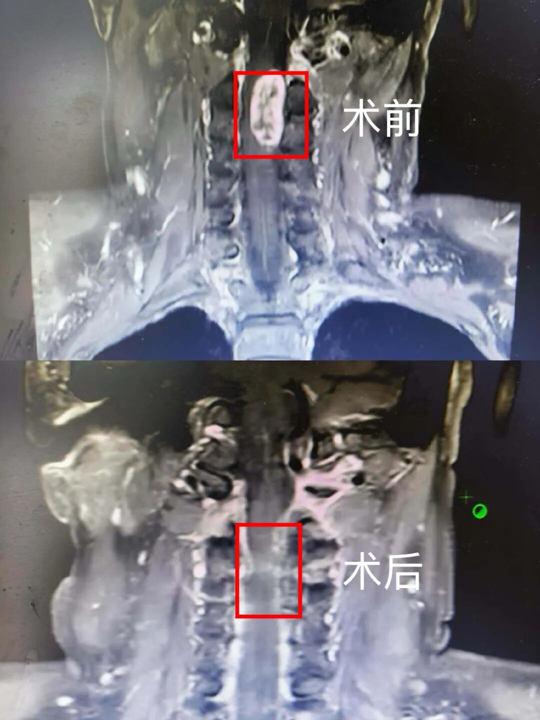 微信图片_20260312084619.jpg